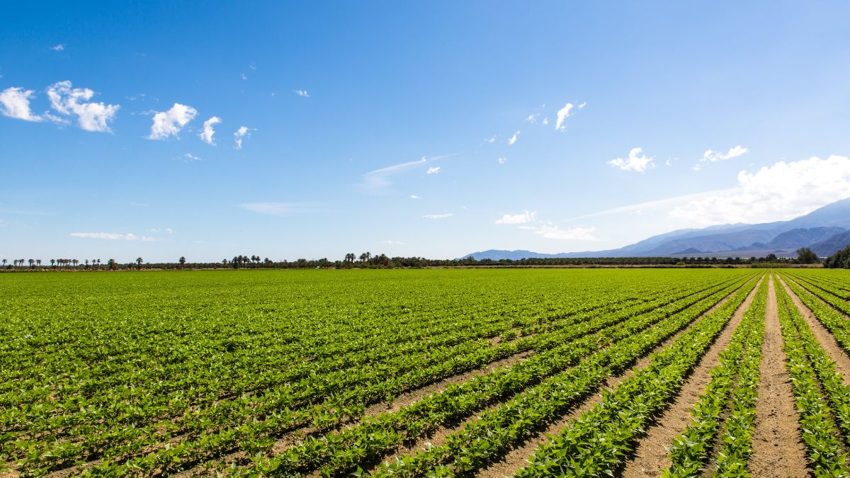 finques agrícoles