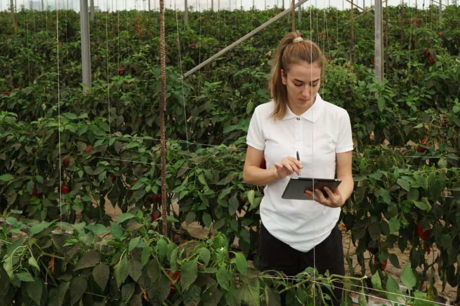 gestió finques agrícoles