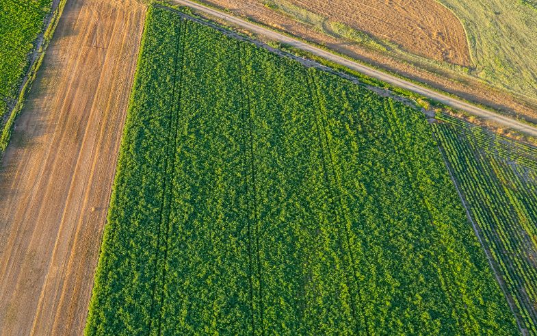 gestió integral de finques