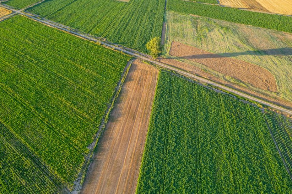 gestió integral de finques