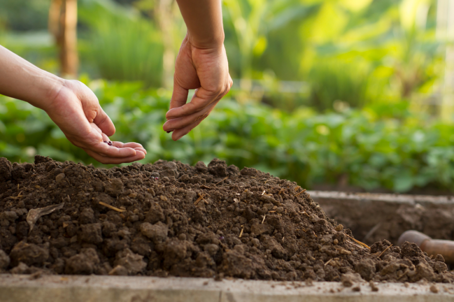Preparació del sòl amb tècniques de sembrat per un cultiu saludable
