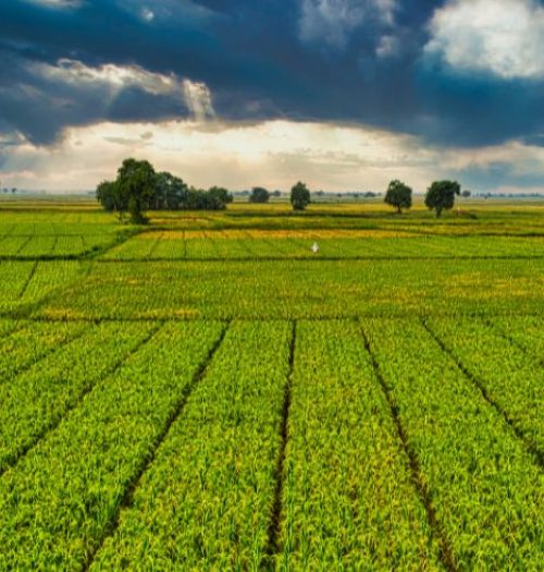 gestió integral de finques (2)