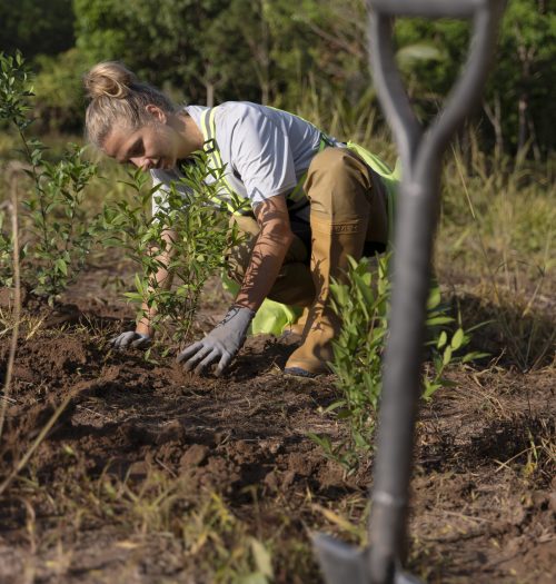 person-planting-tree-countryside